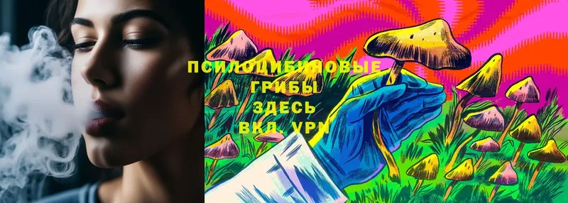 shop клад  Белебей  Псилоцибиновые грибы Psilocybe  omg ссылки 